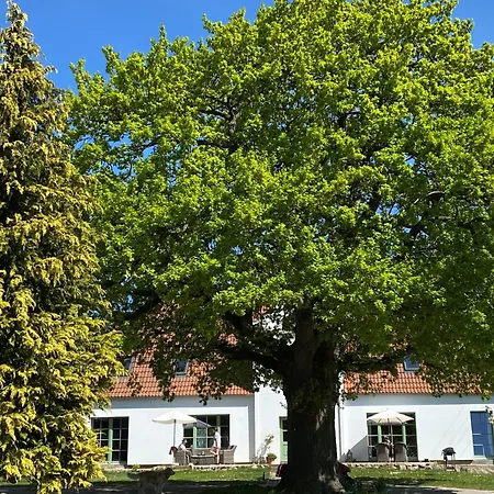 Gutshaus Kranichflug *