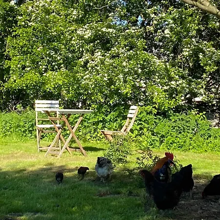 Gutshaus Kranichflug Kenz-Kustrow